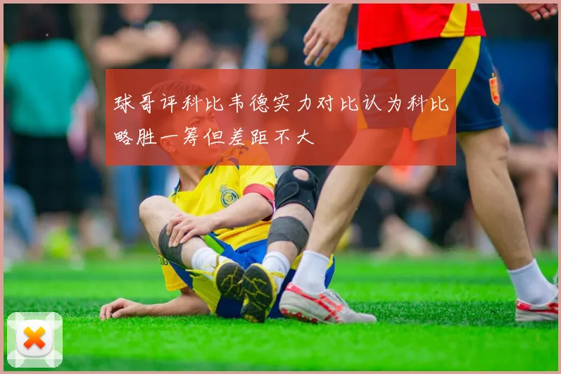 球哥评科比韦德实力对比认为科比略胜一筹但差距不大